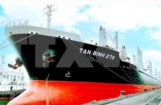 Vinacomin exports 23,000 tonnes of coal to South Africa