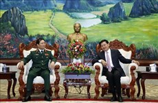 Vietnam, Laos beef up defence cooperation
