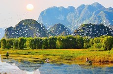 Wetlands conservation in Vietnam critical to biodiversity and eco-balance