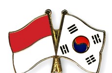 RoK, Indonesia eye stronger industrial cooperation 