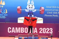 Two more SEA Games golds for Vietnam