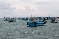 Binh Thuan province moves to end illegal fishing 