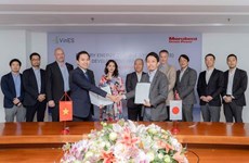 Vietnamese, Japanese-funded firms strike strategic partnership in battery energy storage system