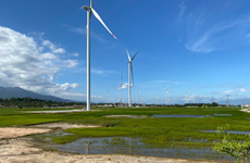Temporary prices set for two transitional wind power projects