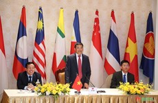 Workshop promotes Vietnam’s initiative on displaying ASEAN Flag