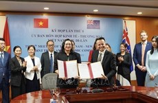 Large room for Vietnam, New Zealand to boost trade, investment ties: official