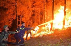 PM urges stronger wildfire prevention measures