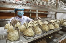 Vietnamese bird’s nests see opportunities to enter Chinese market