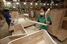 Binh Duong's wood businesses exert great efforts to overcome difficulties