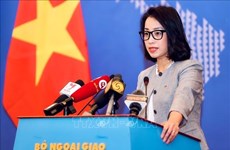 Vietnam objects to China’s placement of light buoys in Truong Sa