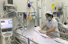 WHO’s emergency botulism antitoxins arrive in Vietnam