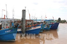 Thanh Hoa strictly monitors vessels to fight IUU fishing