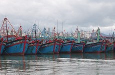 Vietnam Fisheries Trade Union raises fishermen's awarness on combatting IUU fishing