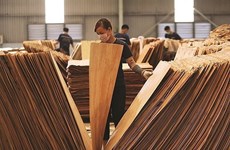 US extends duties investigation into plywood from Vietnam