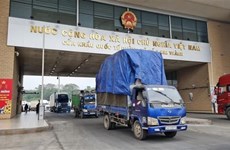 Over 5,000 tonnes of fresh lychee shipped to China via Lao Cai border gate