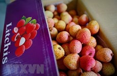 Vietnam seeks to expand overseas markets for lychees, longans