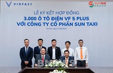 Sun Taxi signs deal to buy 3,000 VinFast electric cars