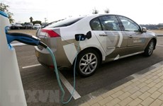 Deputy PM stresses need to encourage use of electric vehicles