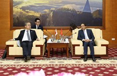 Lao Cai looks to expand cooperation with Japanese partners