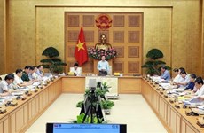 Master plan must reflect Vietnam’s energy commitments: Deputy PM