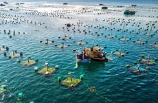 Vietnam, Norway promote cooperation in marine aquaculture