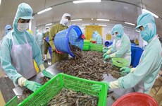 Aquatic exports continue to face difficulties in Q3: VASEP