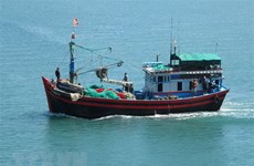 Quang Tri tightens fishing vessel monitoring  to fight IUU fishing