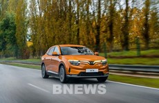 VAMA’s May automobile sales drop by 8%