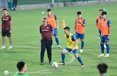 Football: Vietnam to test new playing style at friendly with Hong Kong (China)