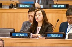 Vietnam affirms commitment to equal access to justice for all