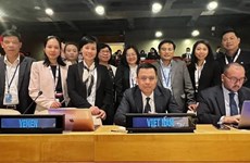 Vietnam hails UN adoption of high seas treaty