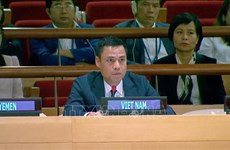 High Seas Treaty a new development milestone of int’l law: Vietnamese ambassador