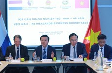 Vietnam, Netherlands cultivate practical, effective relations