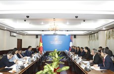 Vietnam, Laos hold 8th deputy ministerial-level political consultation