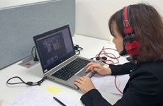 Online meeting discusses Vietnam-RoK cooperation in television, animation