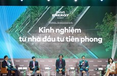 Vietnam set to become Southeast Asia renewable energy leader: conference