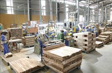 Forestry products bring home over 6.4 billion USD from exports in H1