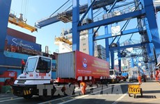 HCM City’s export turnover drops 22.4% in H1