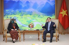 PM Pham Minh Chinh hosts Bruneian Ambassador
