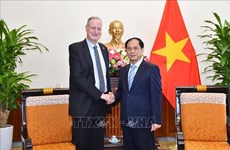 Vietnam attaches importance to ties with Israel: FM