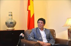 Vietnam promotes solidarity, consensus in ASEAN at AMM-56: diplomat