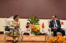 NA Vice Chairman hosts Lao counterpart in Kien Giang