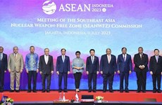 Vietnam attends meetings of SEANWFZ Treaty Commission, AICHR