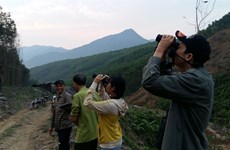 Langurs conservation group film wins international forest film award