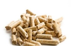 Vienam mostly exports wood pellets to RoK, Japan