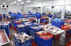 Banks asked to consider solving financial difficulties of fishery businesses