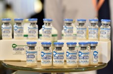 Vietnamese companies ready to export African swine fever vaccines