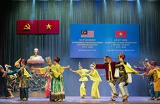 Vietnam, Malaysia see myriad development, investment opportunities: expert