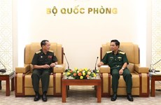 Vietnamese, Lao armies boost information, liaison cooperation
