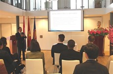 Vietnam’s external policy introduced to law students in The Hague